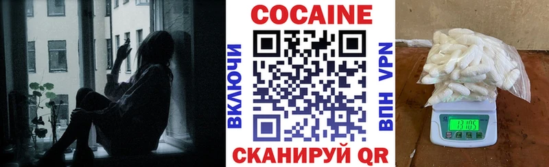 Кокаин Fish Scale  Купить где  Заводоуковск 