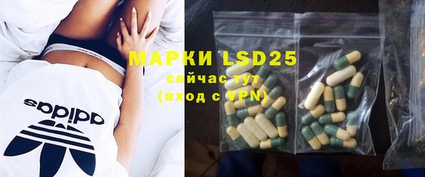ECSTASY Белокуриха