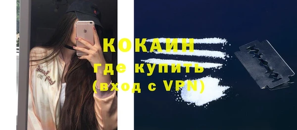 ECSTASY Белокуриха