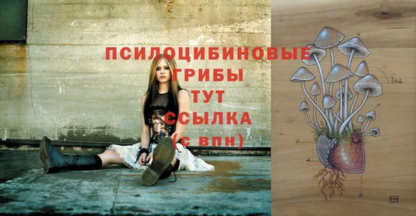 ECSTASY Белокуриха