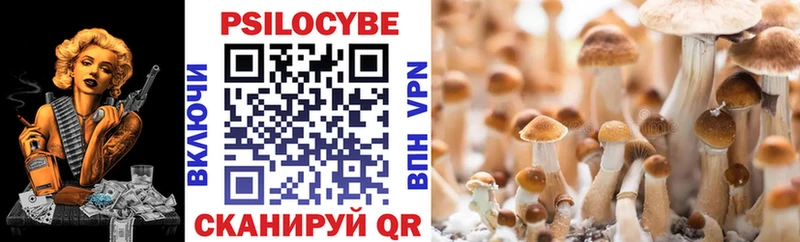 Псилоцибиновые грибы MAGIC MUSHROOMS  Купить  Заводоуковск 